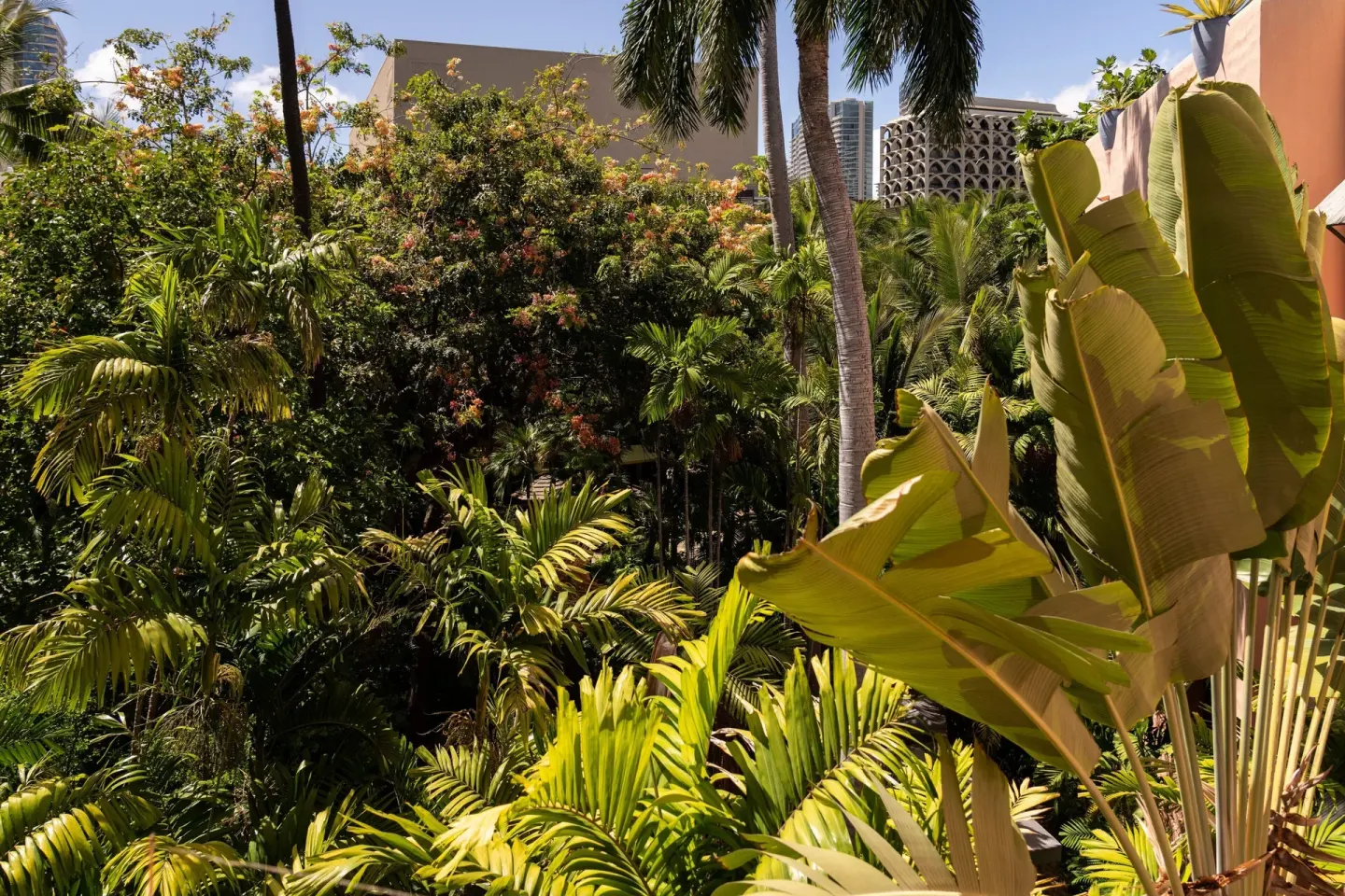 Tropical garden view from a Historic Garden room at The Royal Hawaiian, Waikiki.