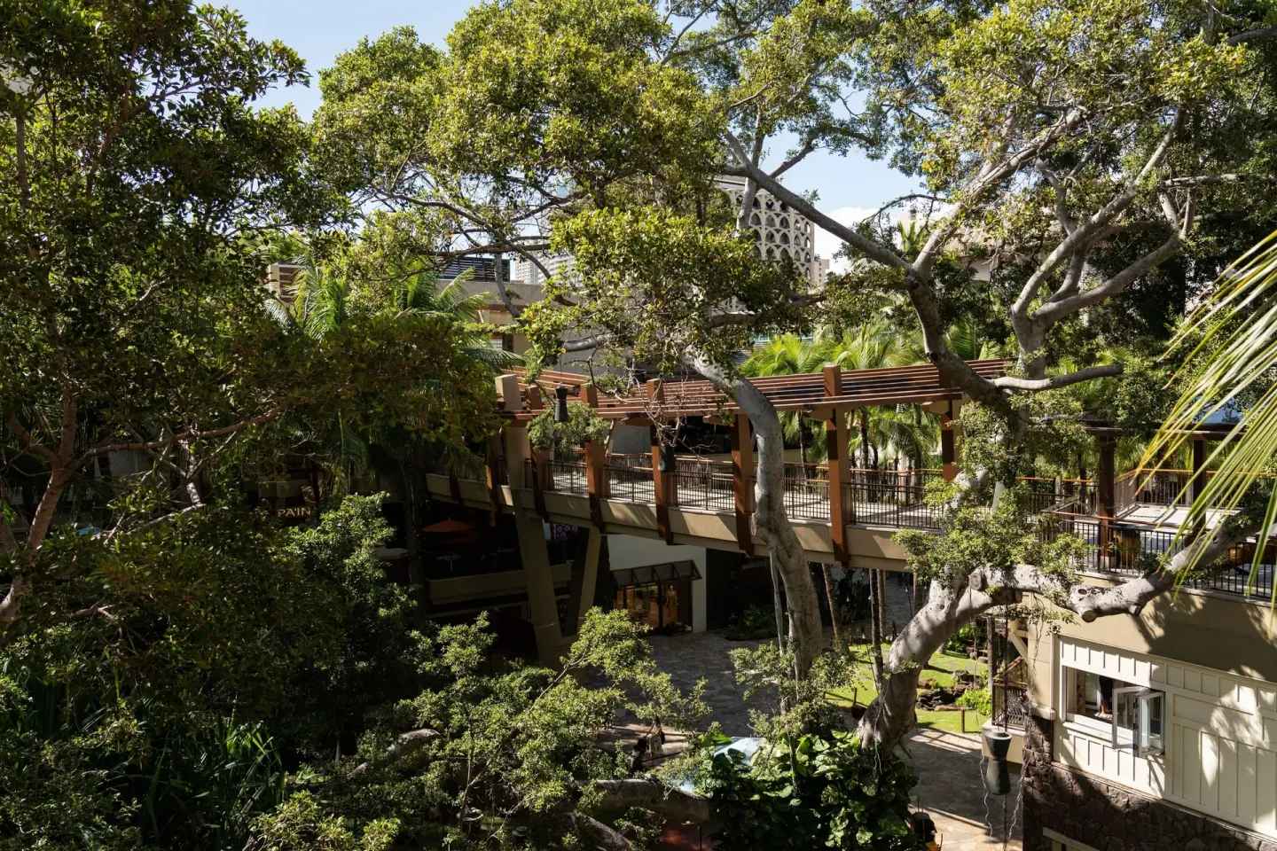 Garden courtyard view from a Historic Wing suite at The Royal Hawaiian, Waikiki with trees and walkways.