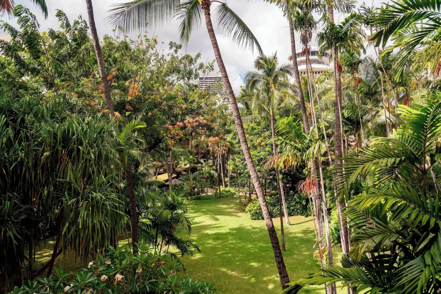 Tropical garden view from a Historic Wing suite at The Royal Hawaiian, Waikiki with palms and lawn.