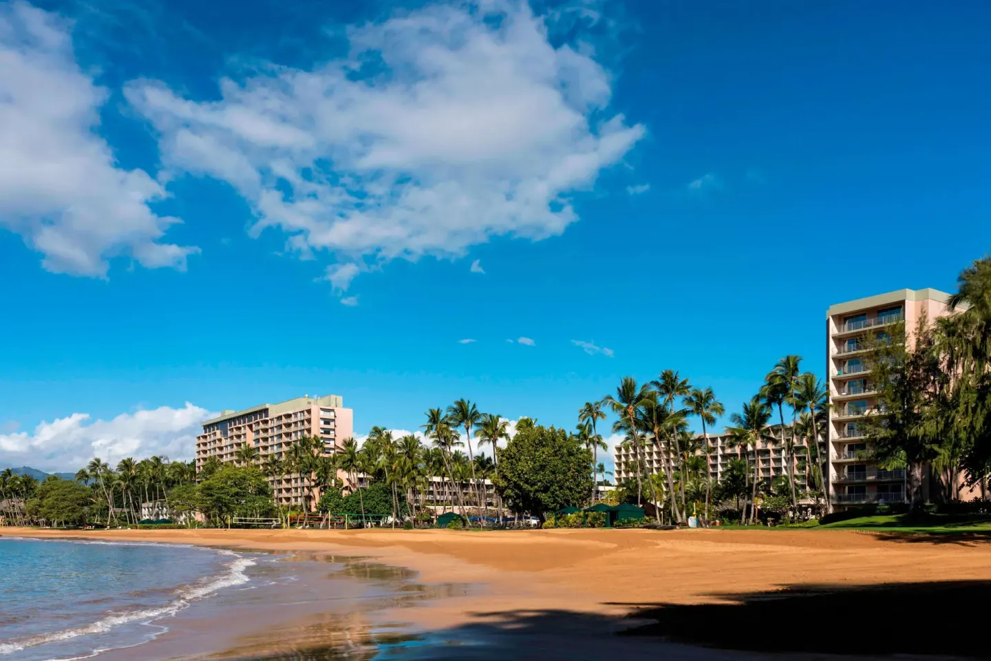 Beachfront resort towers and palms at The Royal Sonesta Kaua'i Resort Lihue.