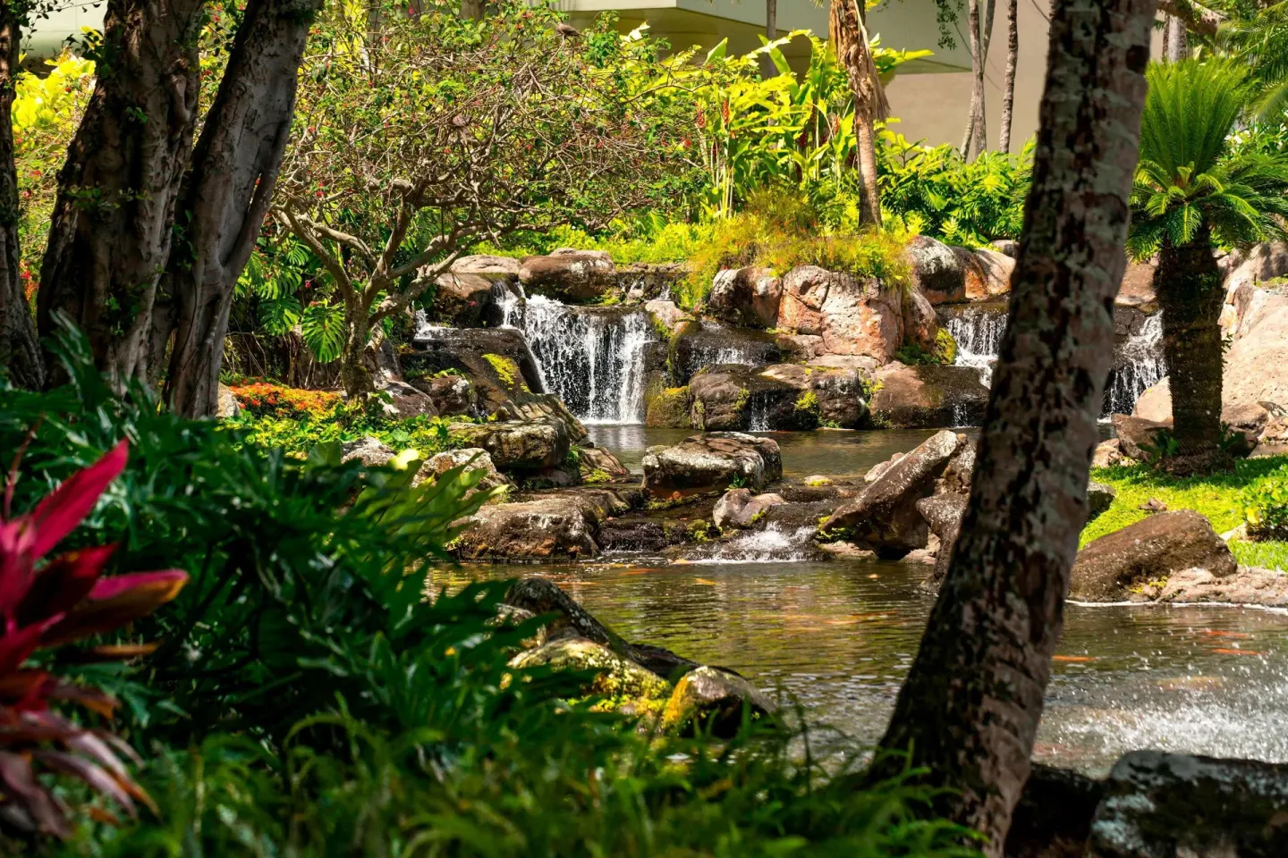 A landscaped waterfall flows through tropical gardens at The Royal Sonesta Kaua'i Resort Lihue.