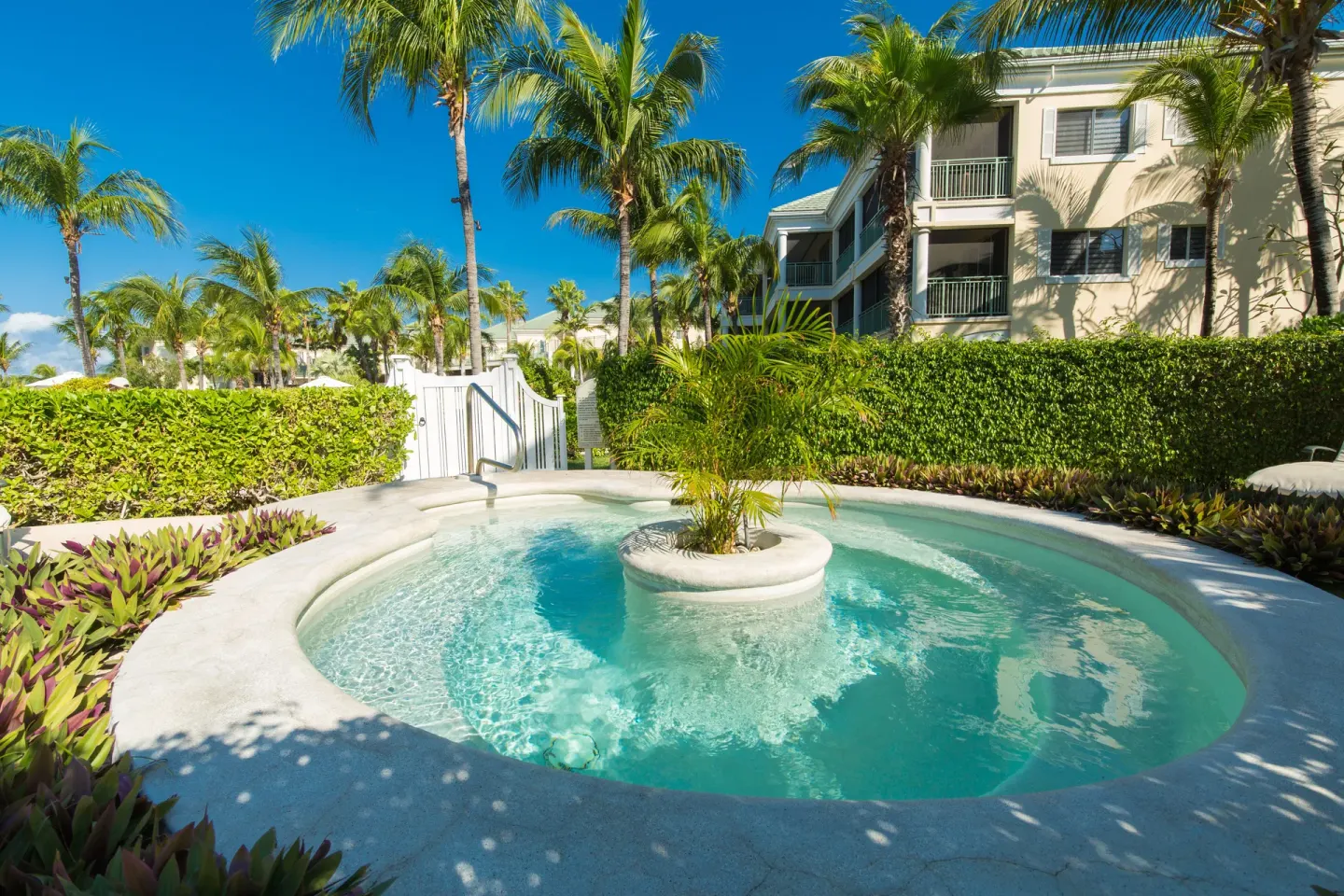 Small circular pool with a palm island at The Sands at Grace Bay.