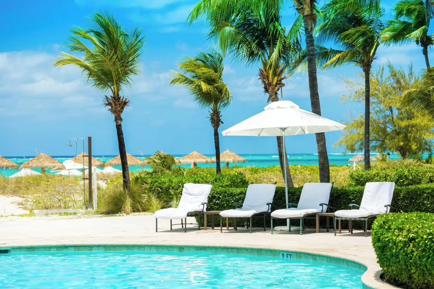 Pool edge with loungers, palms, and beach beyond at The Sands at Grace Bay.
