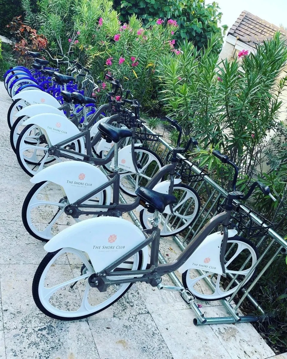 Resort bicycles lined up beside flowering greenery at The Shore Club Turks and Caicos.