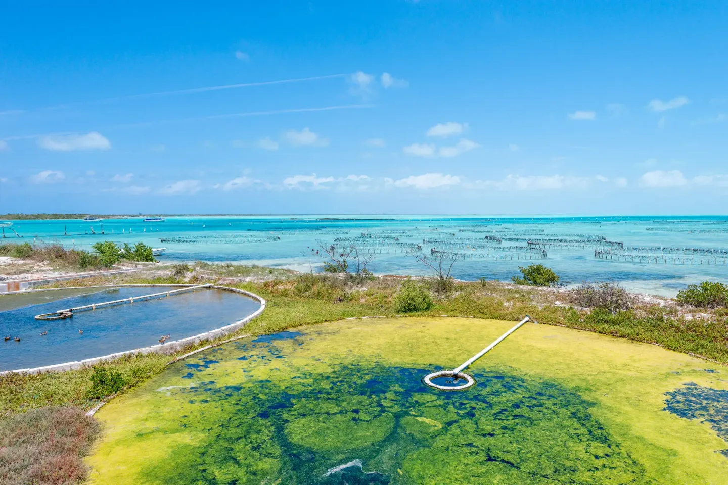 Provo Conch Farm 5 Min Drive