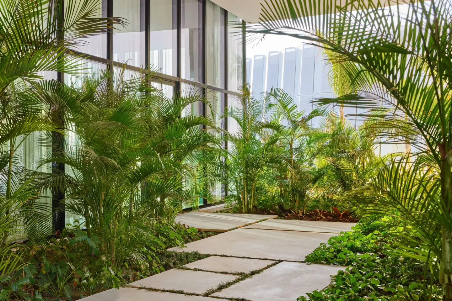 Palm-lined exterior walkway at The St. Regis Kanai Resort, Riviera Maya.