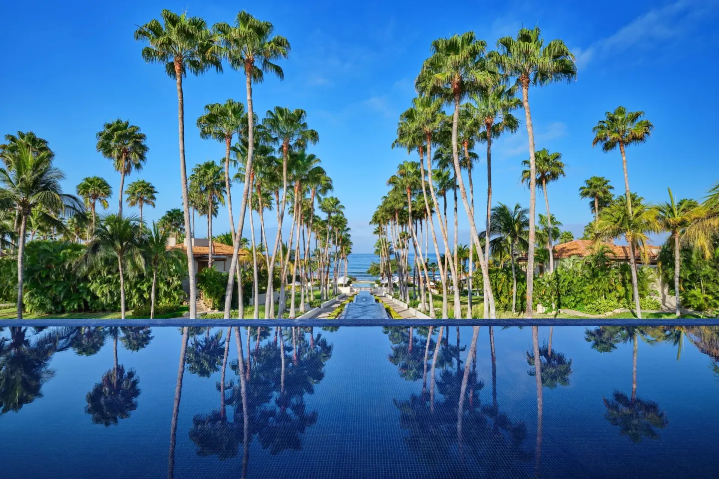 Reflecting pool lined with tall palms and ocean beyond at The St. Regis Punta Mita Resort.