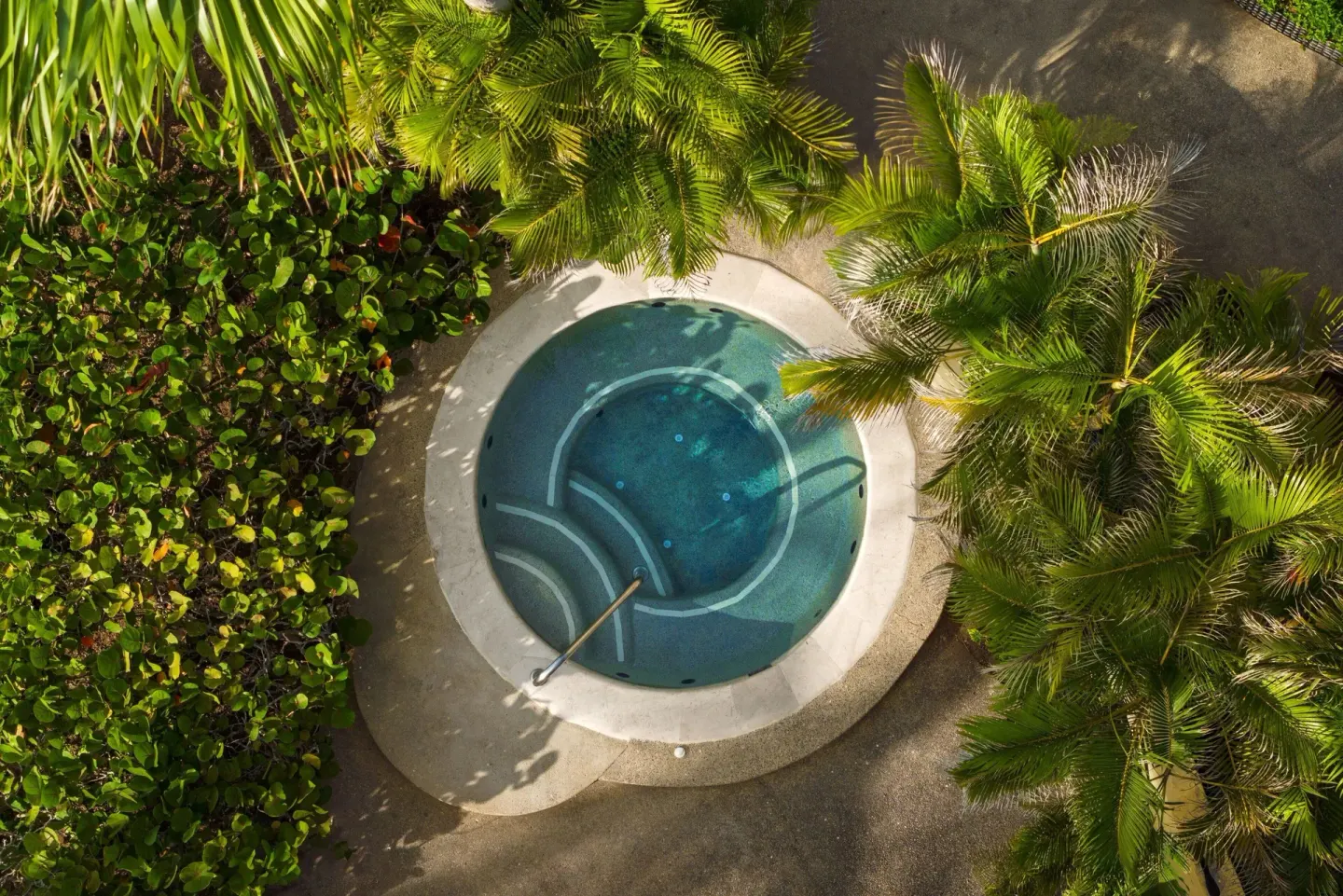 Aerial view of a round spa pool surrounded by palms at The St. Regis Punta Mita Resort.