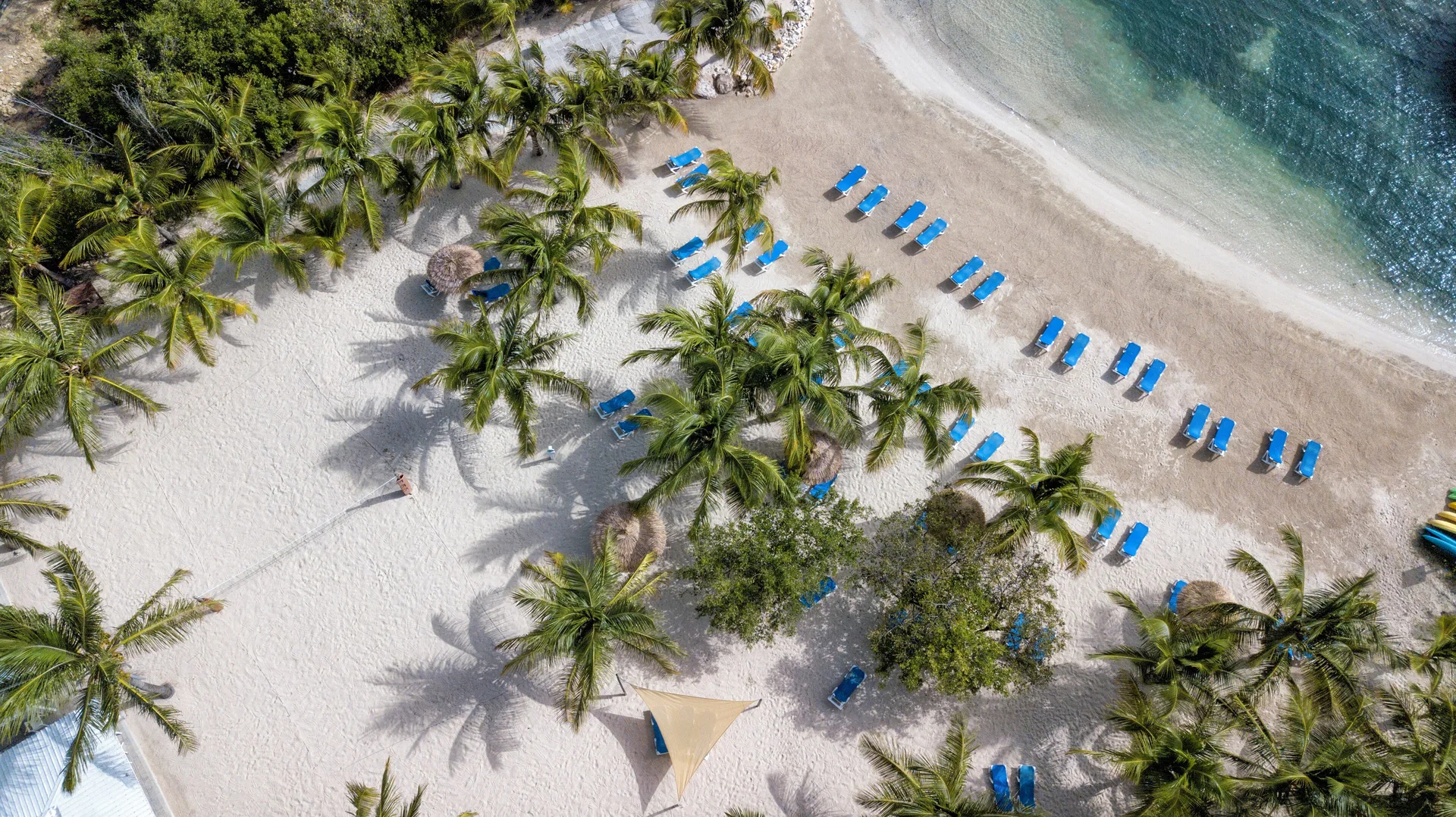 Aerial view of a palm-lined beach with blue loungers at The Verandah Antigua.