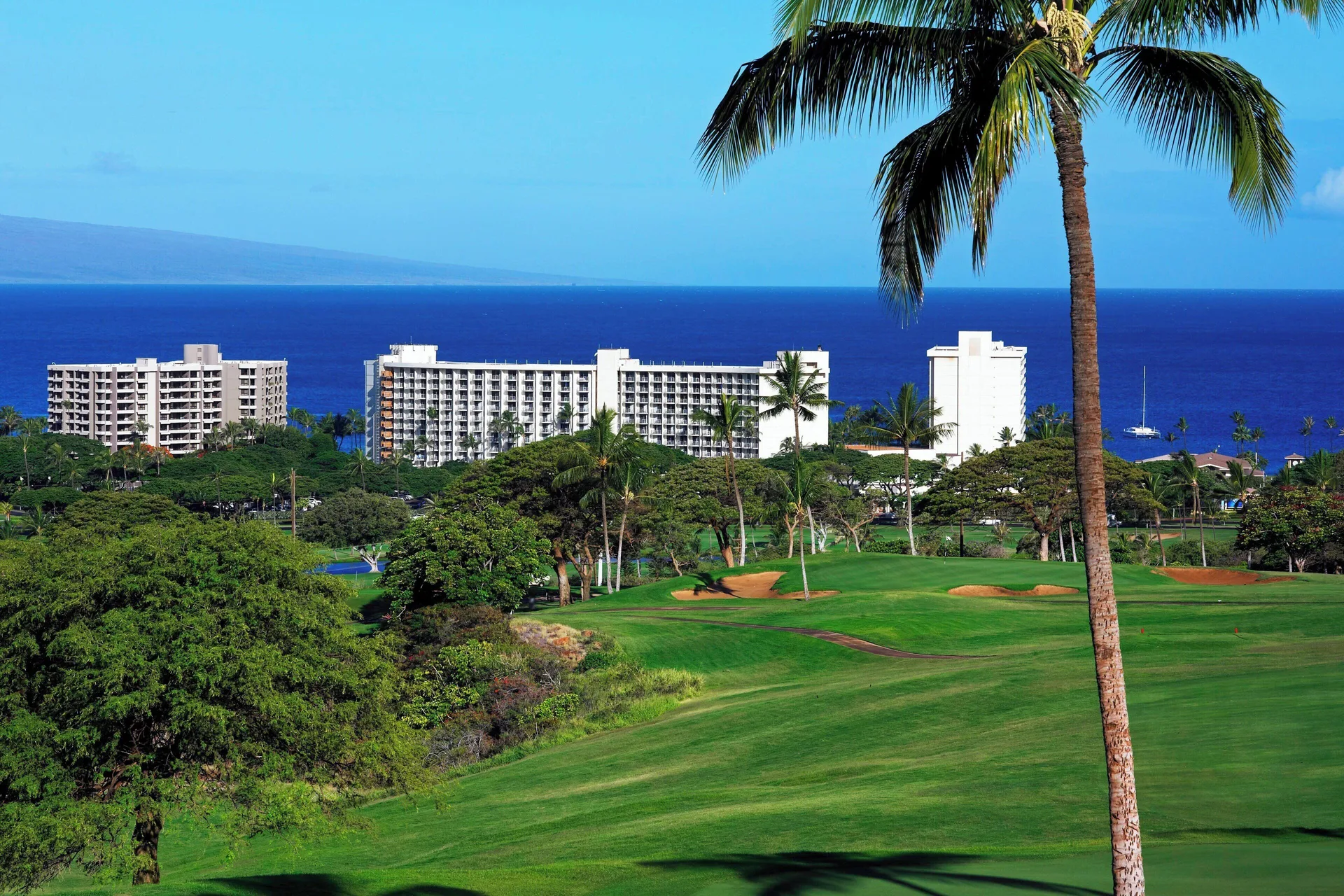 Oceanfront resort buildings, golf greens, and palms at The Westin Maui Resort & Spa, Ka'anapali.