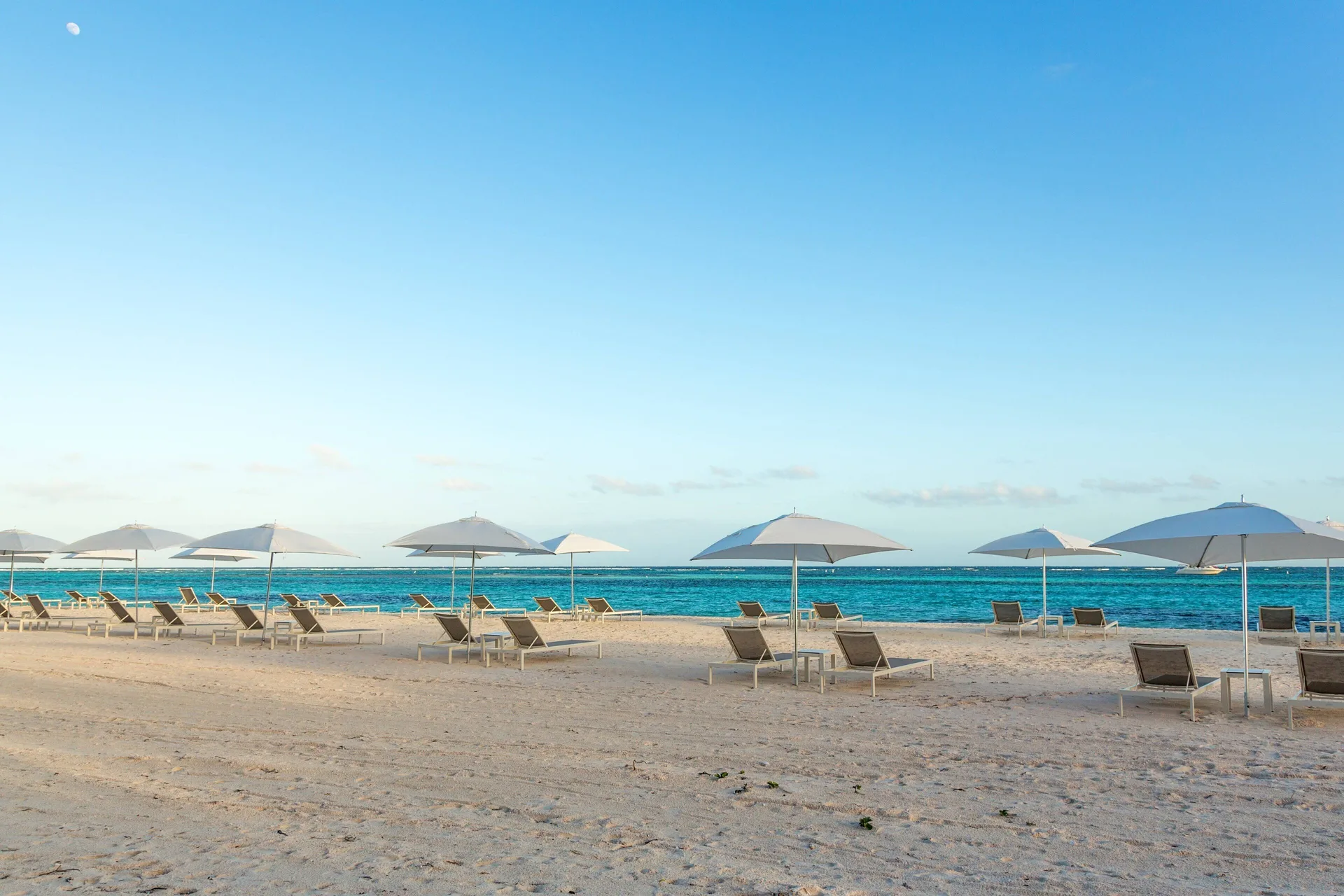 Rows of beach loungers and white umbrellas facing the sea at The Westin Puntacana Resort.