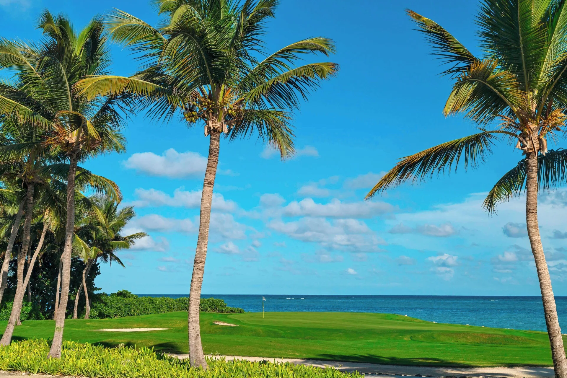 Palm trees frame an oceanfront golf green at The Westin Puntacana Resort.