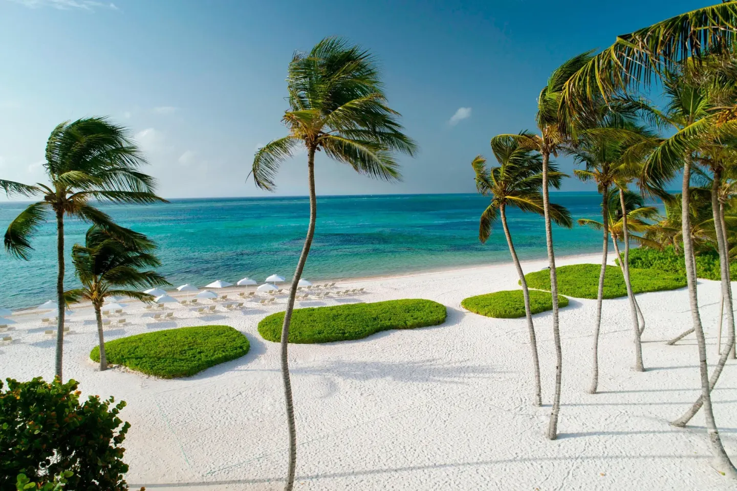 Palm-lined white sand beach and turquoise sea at The Westin Puntacana Resort.
