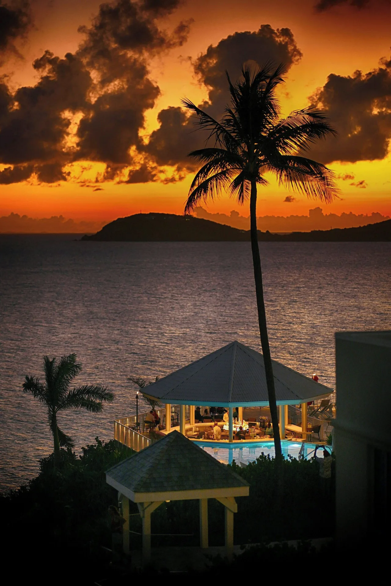 Palm silhouette over the water at sunset at The Westin St. Thomas Beach Resort & Spa.
