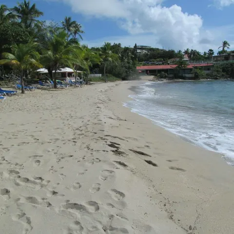 Bluebeards Beach 5 Min Drive
