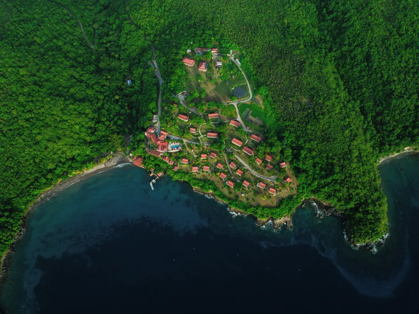Aerial view of the coastal resort and forest at Ti Kaye Resort & Spa.