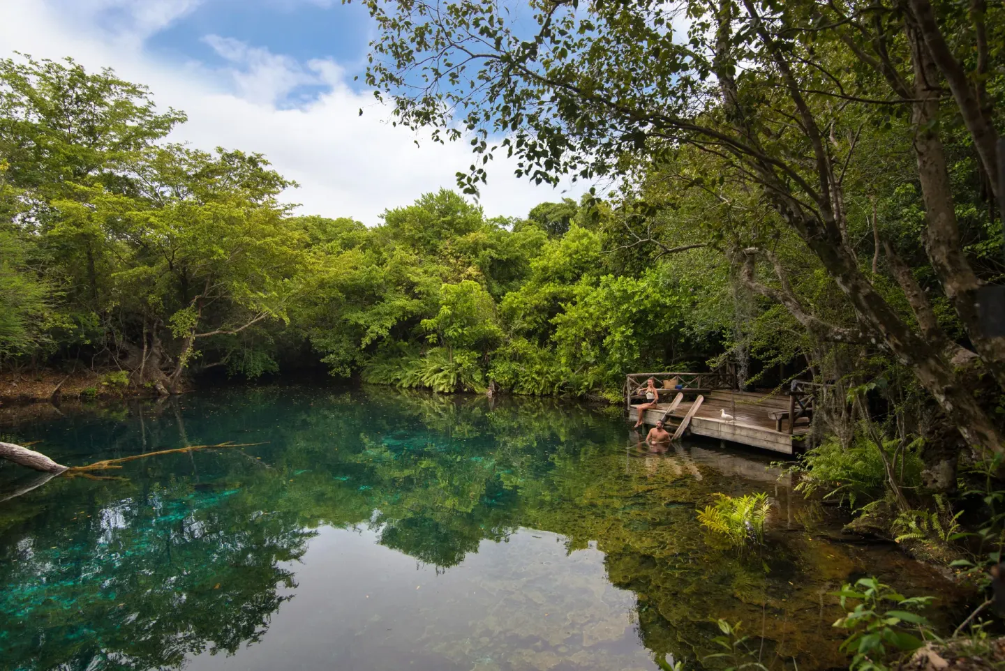 Clear freshwater lagoon with a wooden deck in the grounds of Tortuga Bay Hotel.