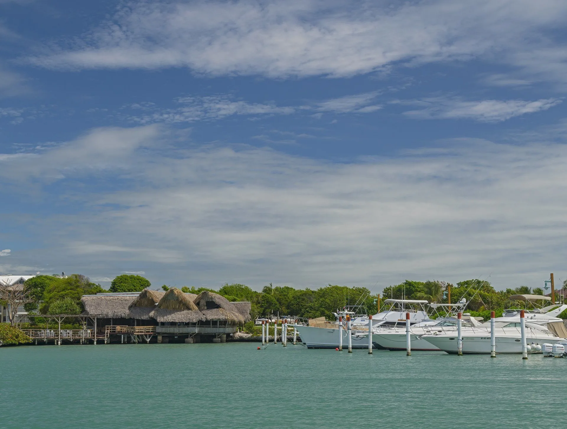 Marina with moored boats and thatched waterfront buildings at Tortuga Bay Hotel.
