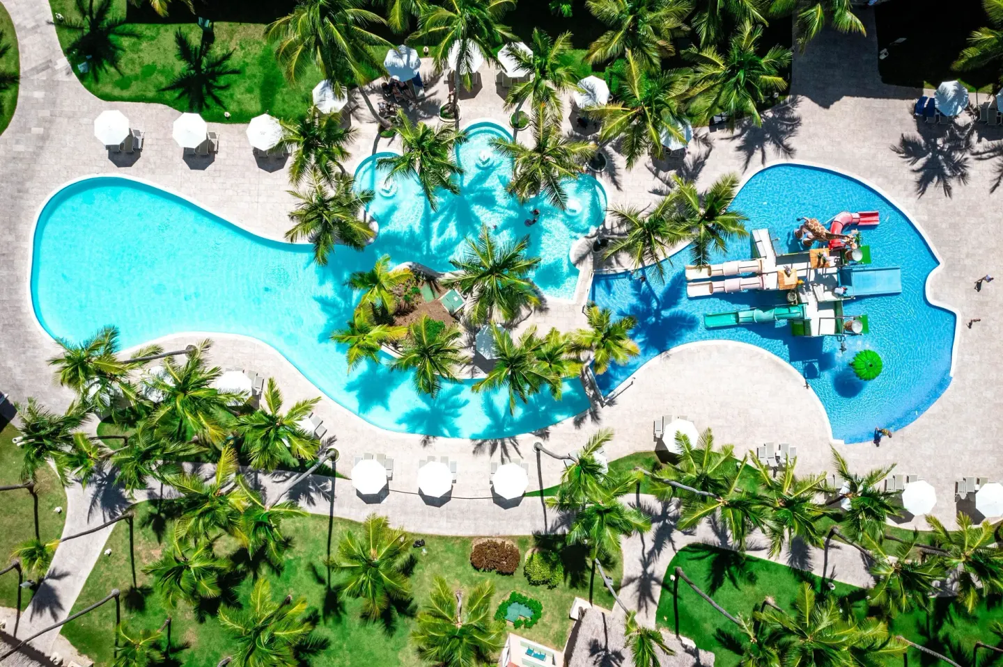 Aerial view of the palm-lined pool area at Tropical Deluxe Princess.