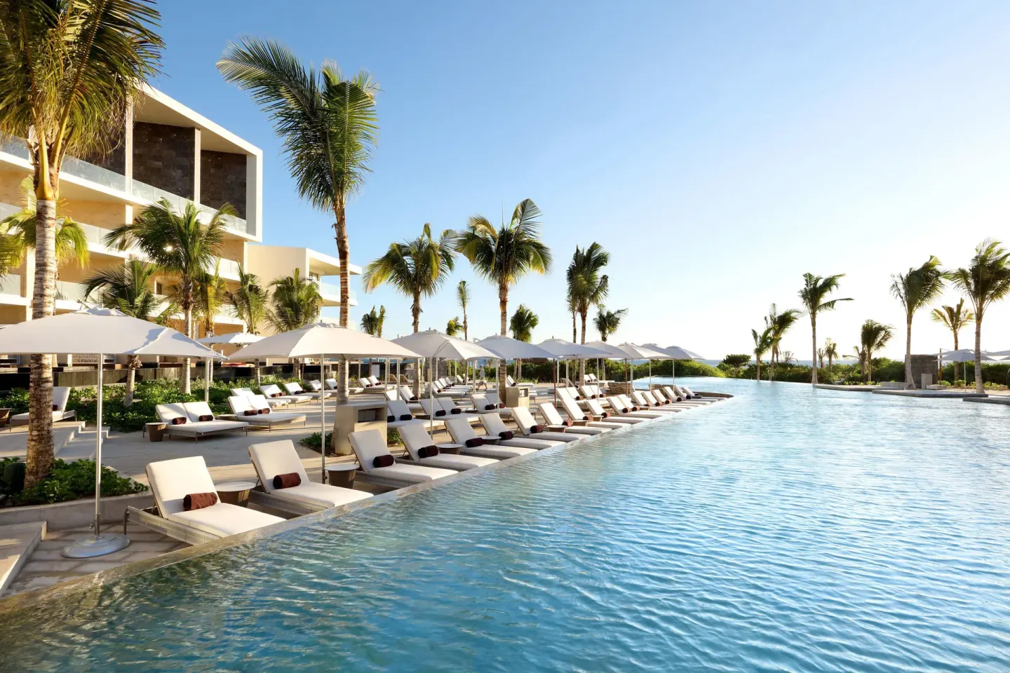 Palm-lined pool with white umbrellas and cushioned loungers at TRS Coral Hotel.