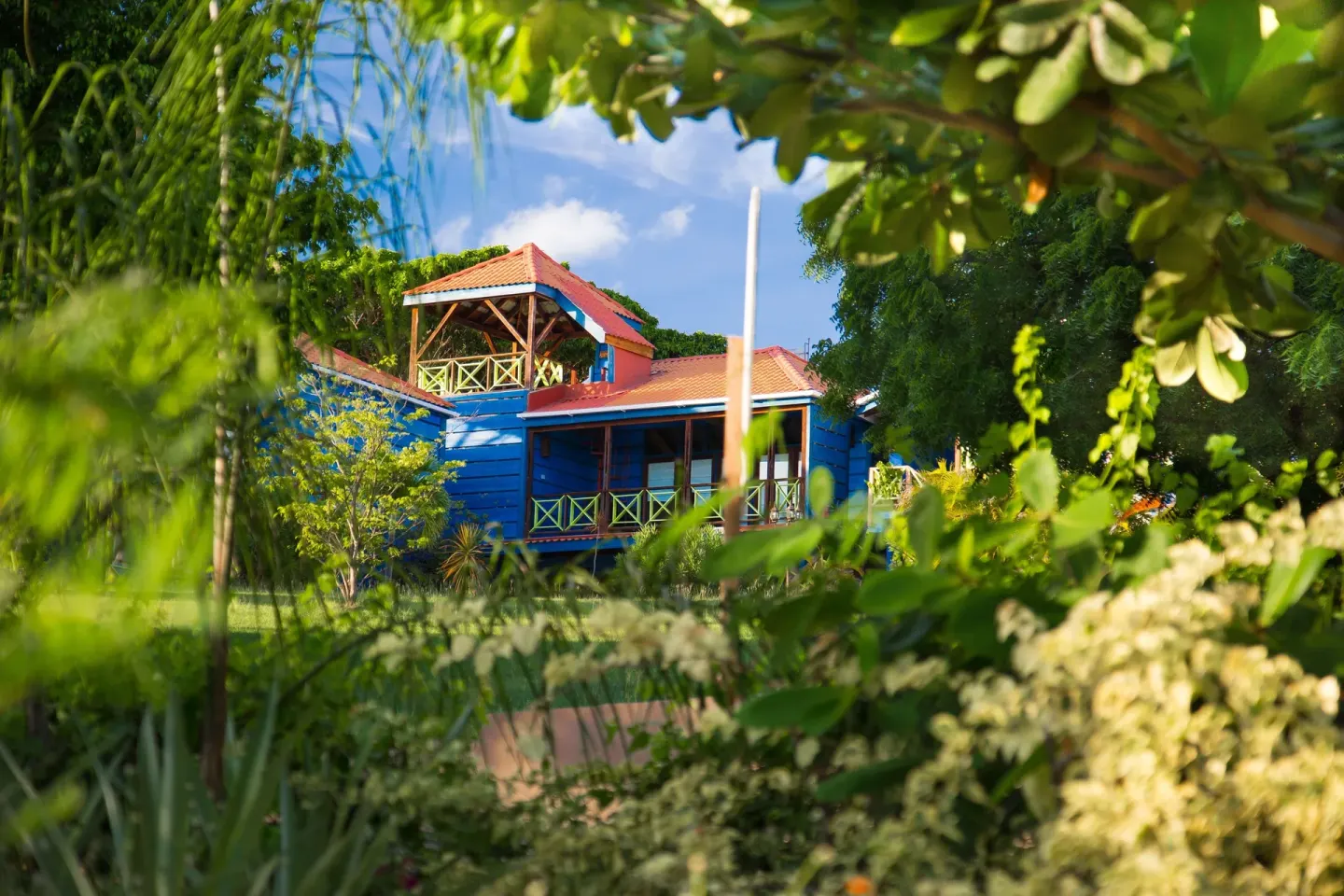Blue resort building framed by tropical greenery at True Blue Bay Resort.