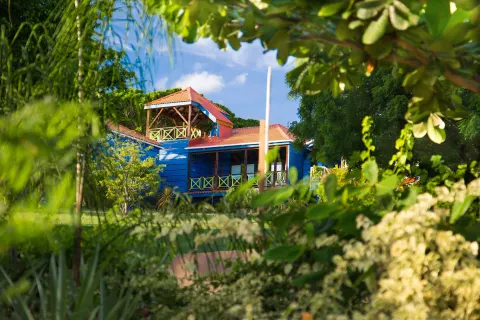 Blue resort building framed by tropical greenery at True Blue Bay Resort.