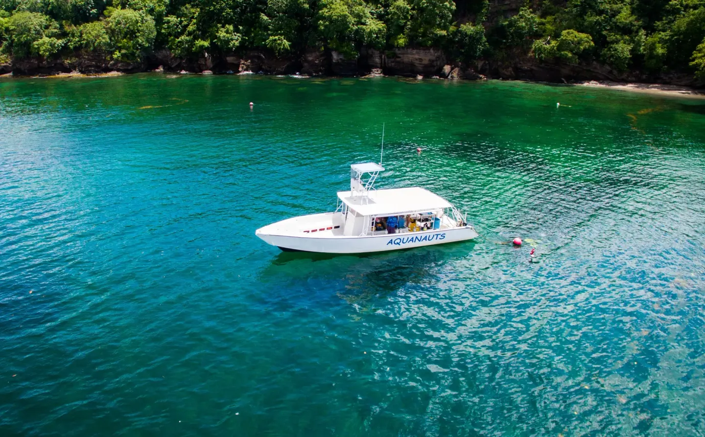White dive boat floats in green-blue water near True Blue Bay Resort.