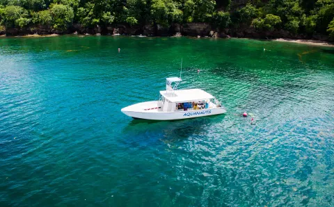 White dive boat floats in green-blue water near True Blue Bay Resort.