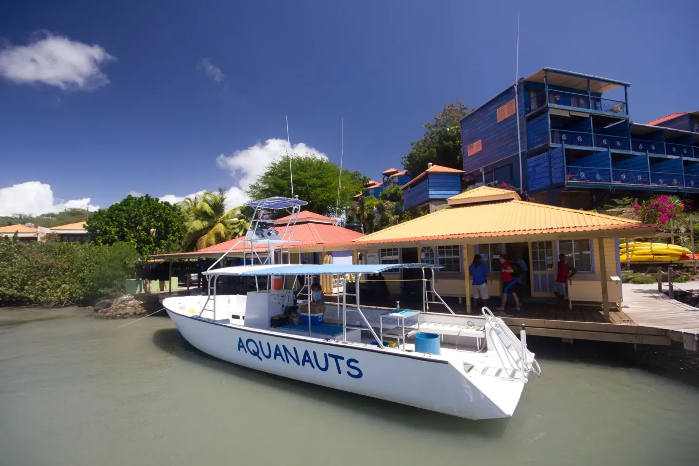 Dive boat docked beside colorful waterfront buildings at True Blue Bay Resort.