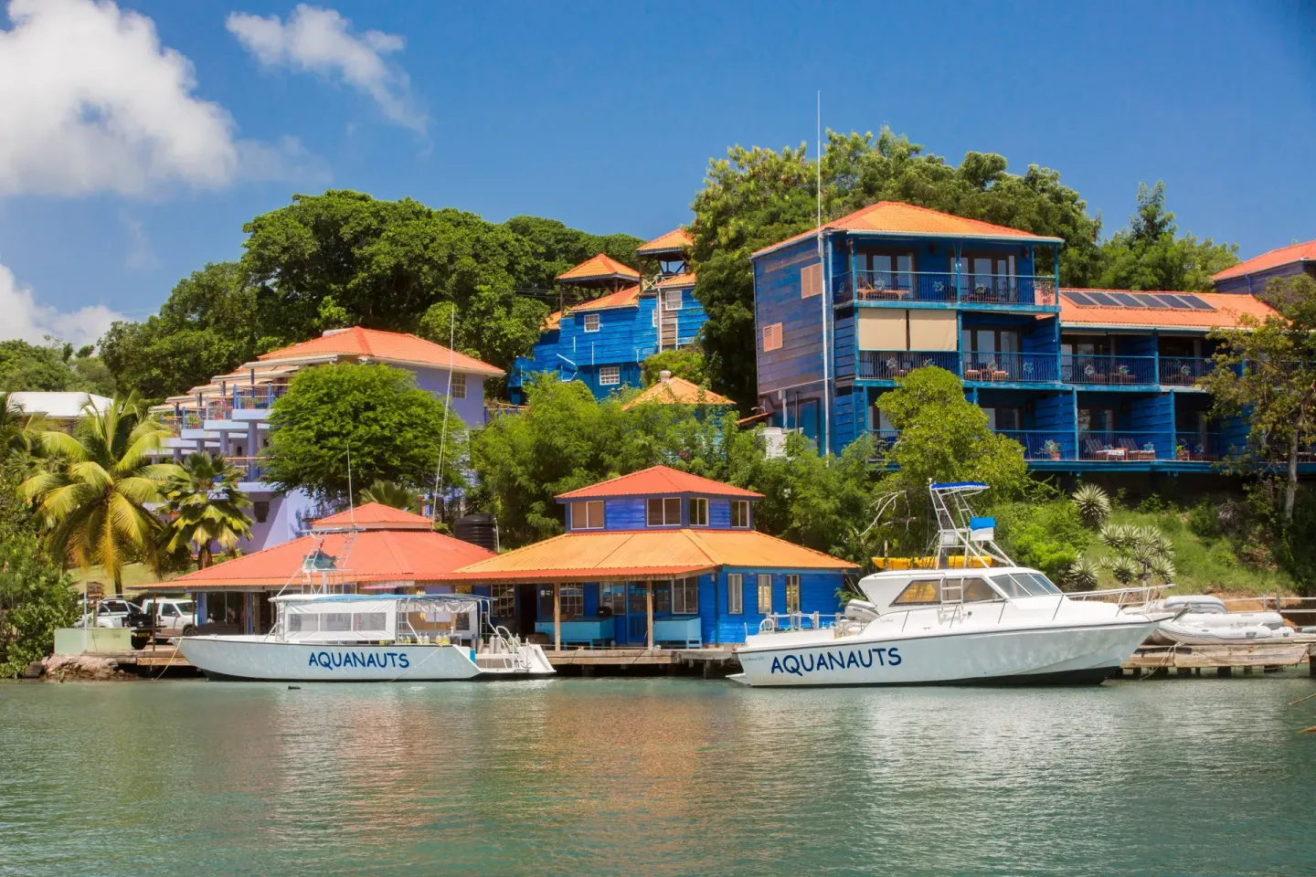 Marina with dive boats and colorful hillside buildings at True Blue Bay Resort.