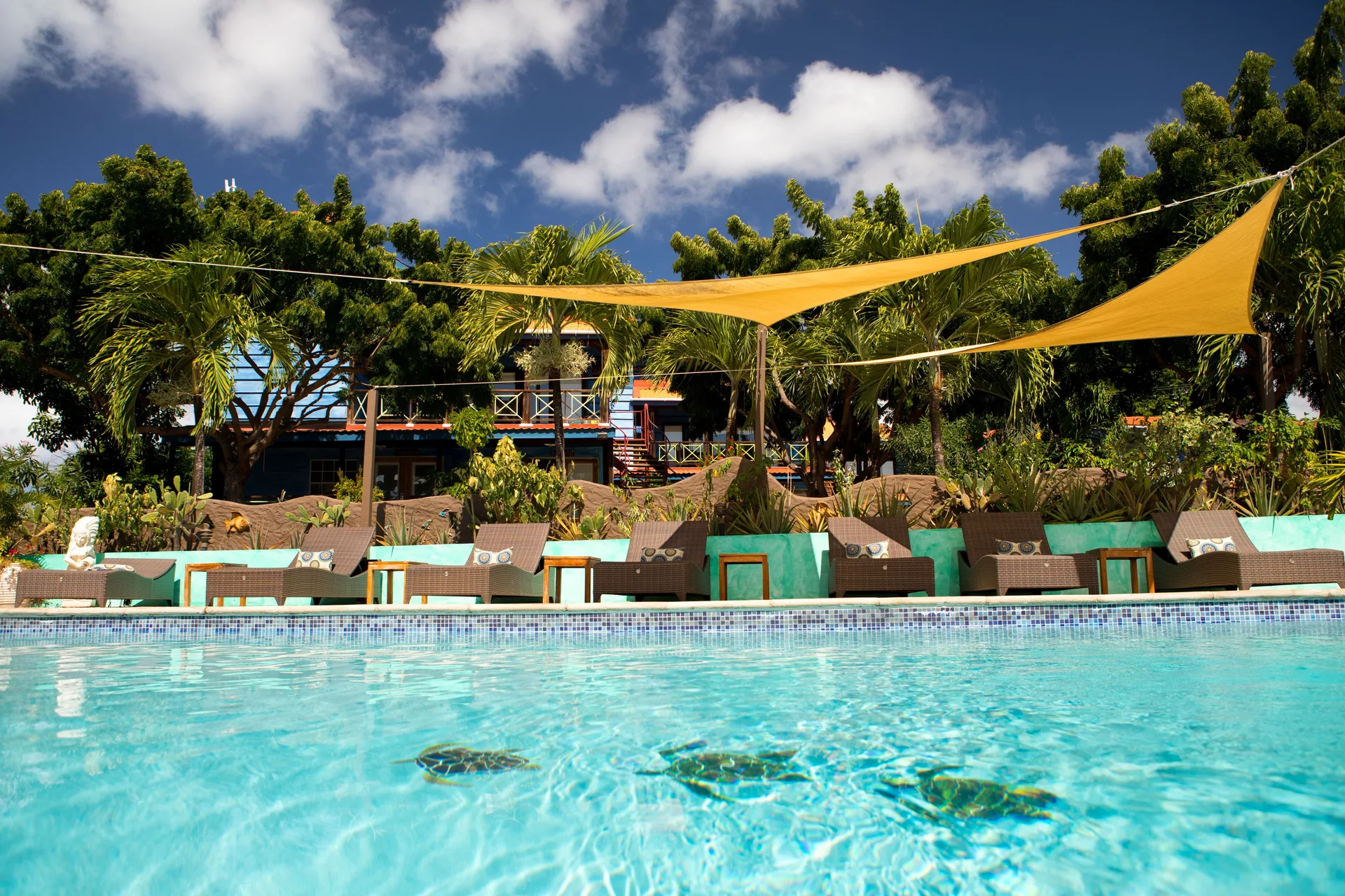 Pool loungers and yellow shade sails beside the water at True Blue Bay Resort.