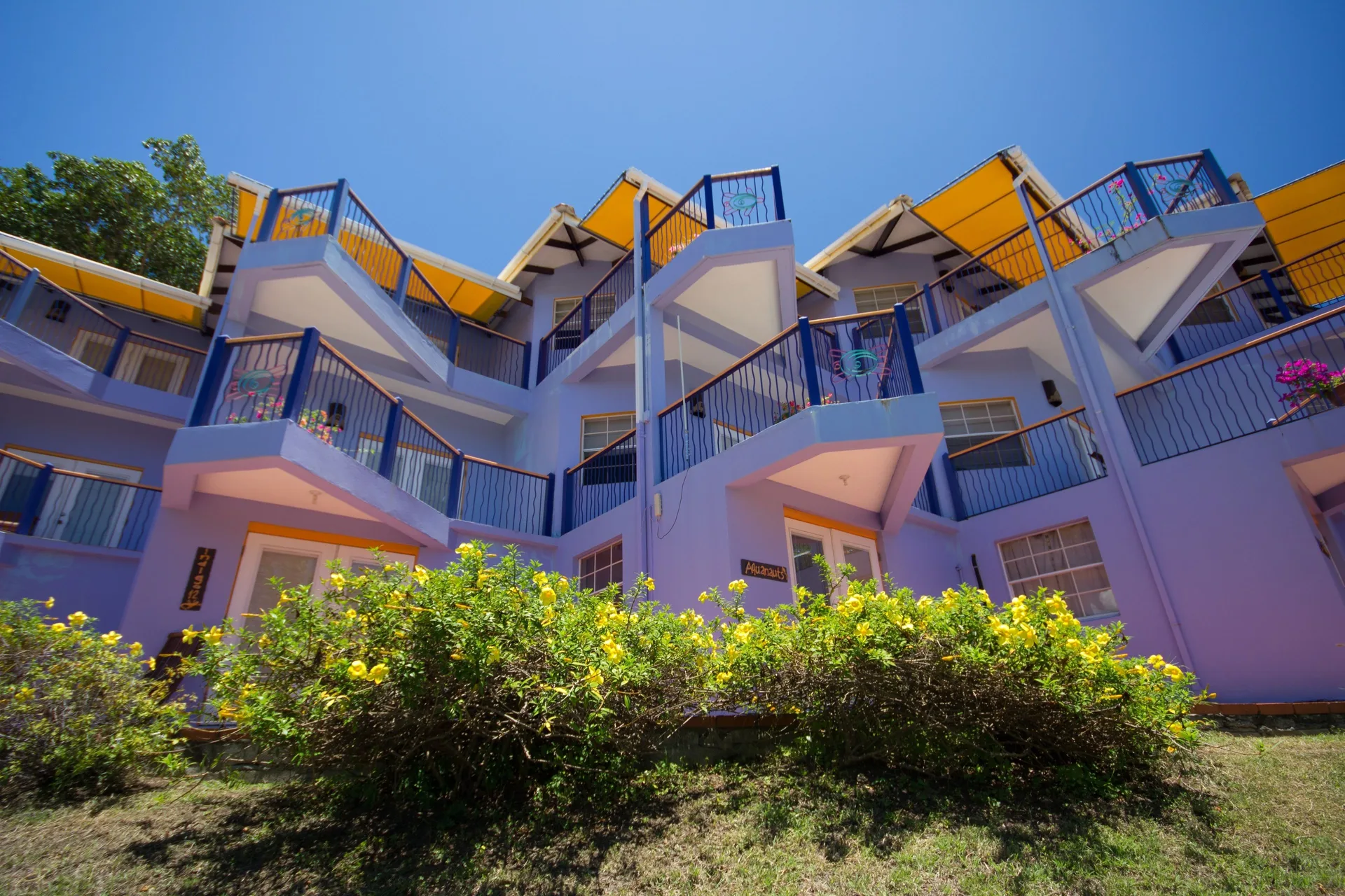Purple guestroom building with balconies and yellow awnings at True Blue Bay Resort.