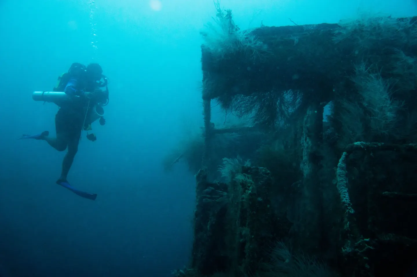 Scuba diver swims beside a shipwreck underwater near True Blue Bay Resort.