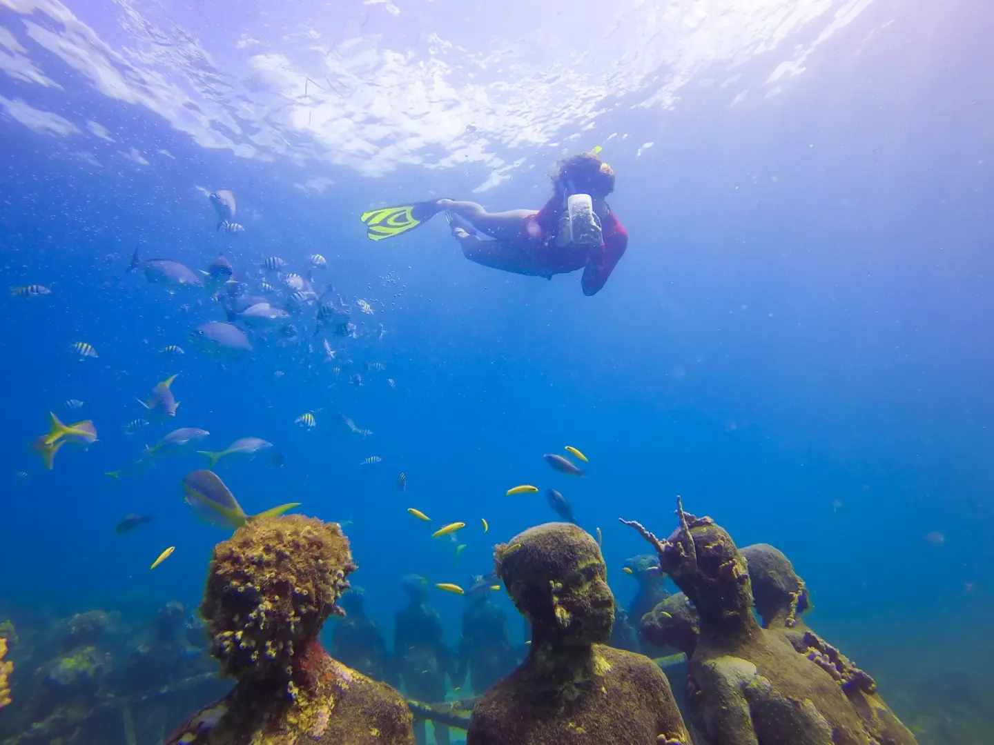 Snorkeler swims above underwater sculptures and fish near True Blue Bay Resort.