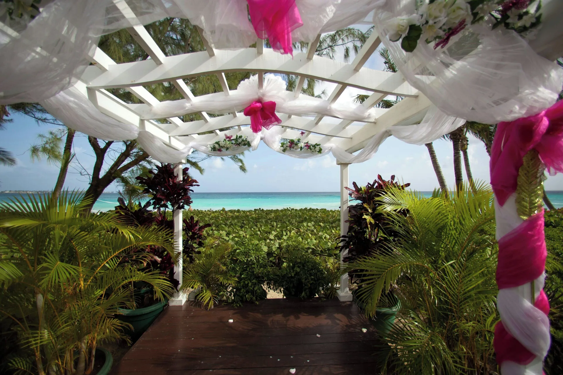 Beachfront wedding arch with white and pink fabric at Turtle Beach.
