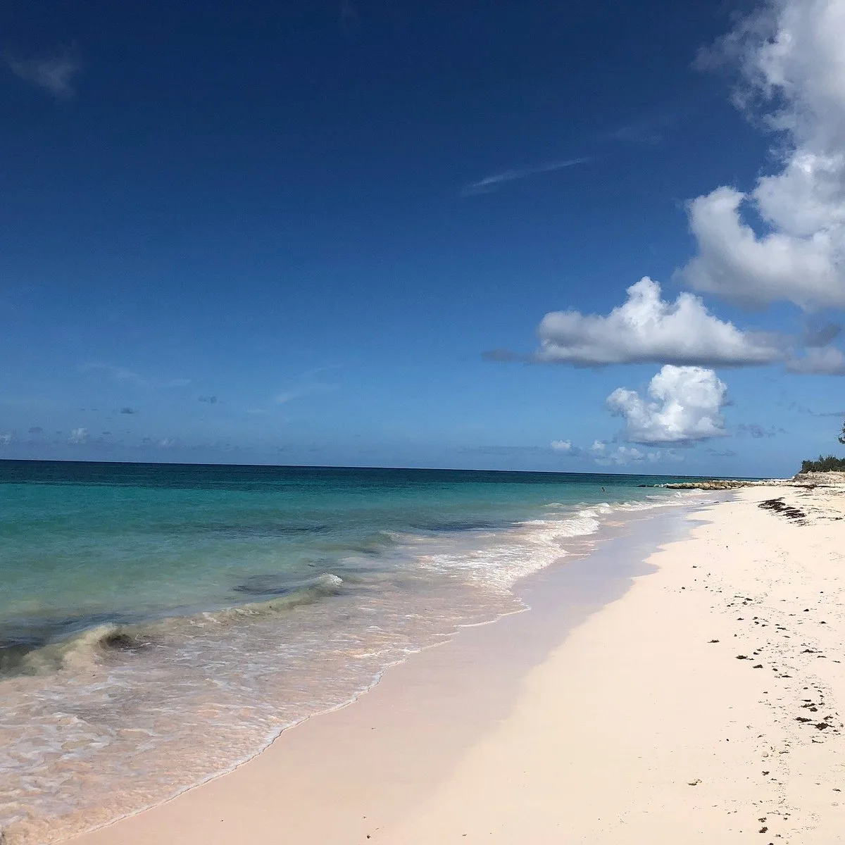 Maxwell Beach 5 Min Walk
