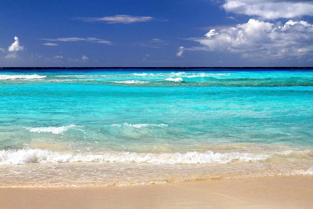 Worthing Beach 5 Min Drive