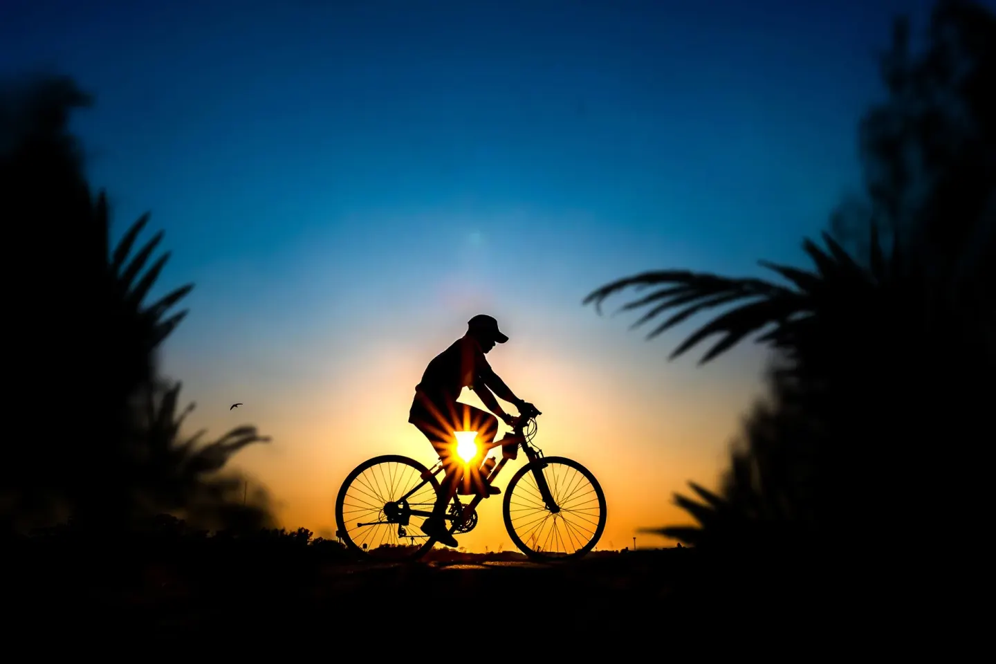A cyclist is silhouetted at sunset near Valentin Imperial Riviera Maya.