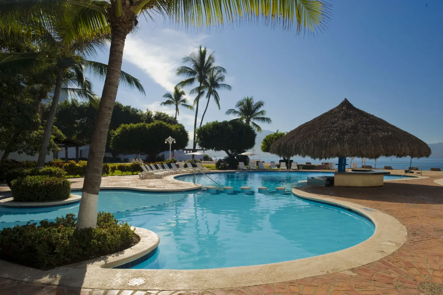 Curved pool with stepping stools, palms, and a thatched shade at Vamar Vallarta Marina and Beach Resort.