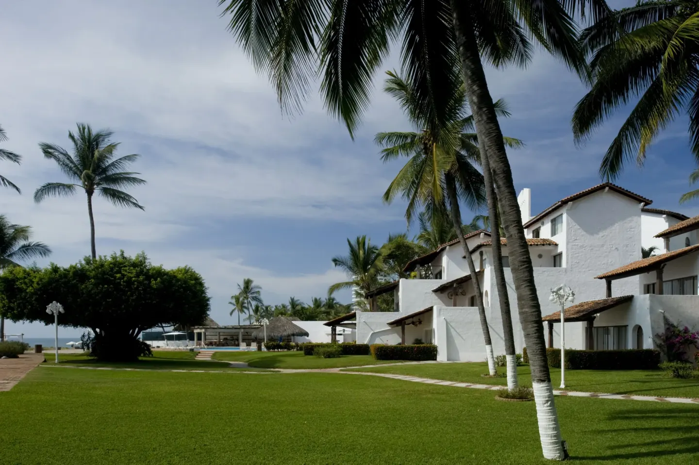 Palm lawn and white resort buildings at Vamar Vallarta Marina and Beach Resort.