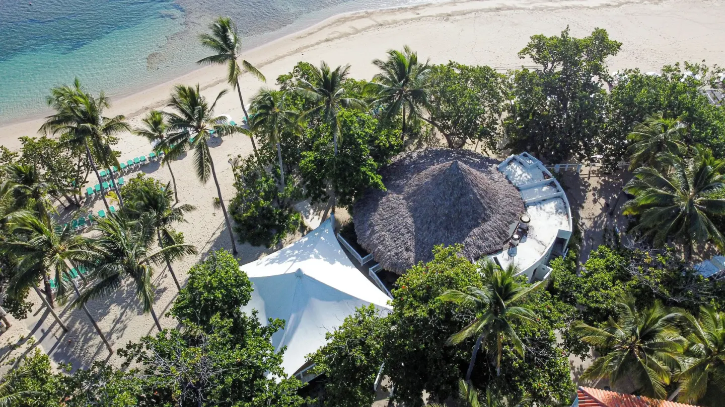 Aerial view of the beachfront, palms, and thatched pavilion at VH Gran Ventana Beach Resort.