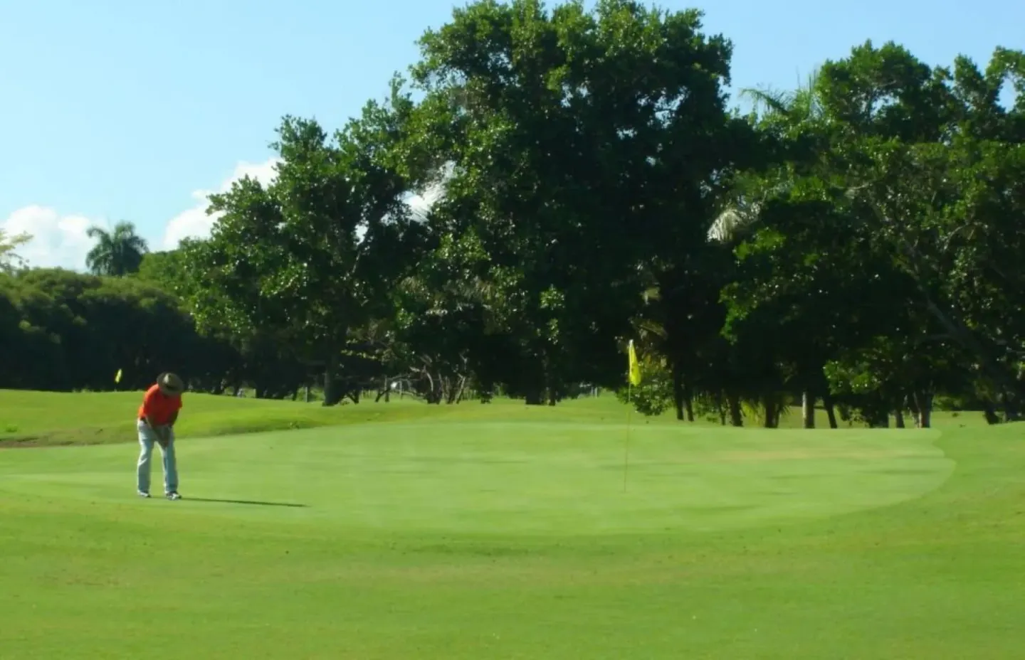 Golfer putting on a green near VH Gran Ventana Beach Resort.