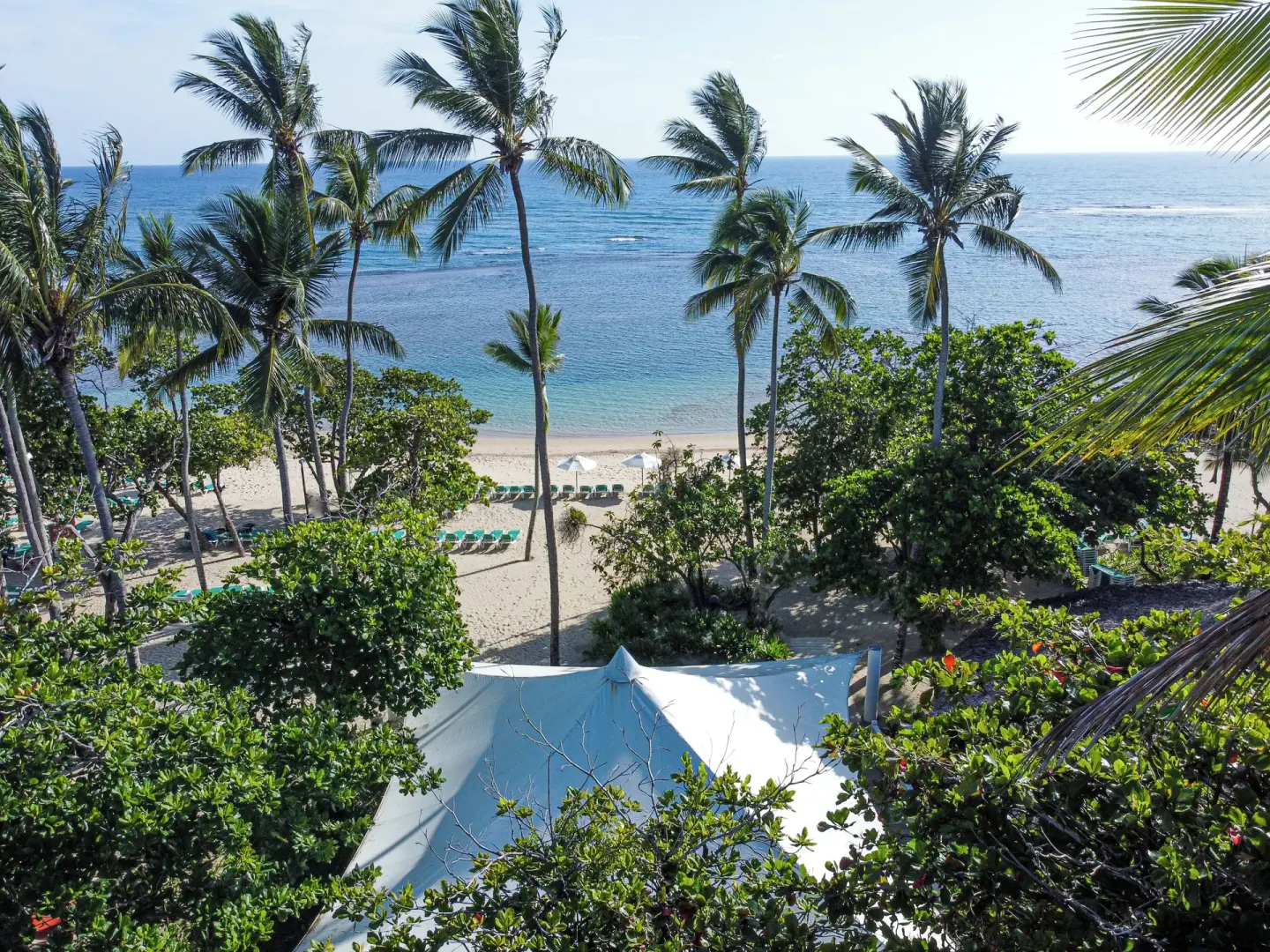 Palm-lined beach and blue ocean at VH Gran Ventana Beach Resort.
