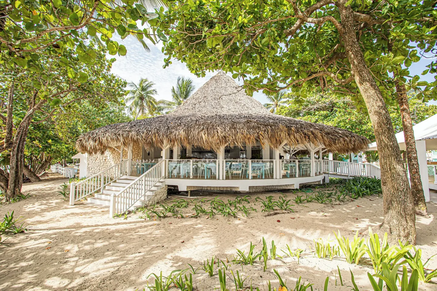 Thatched open-air pavilion among trees at VH Gran Ventana Beach Resort.