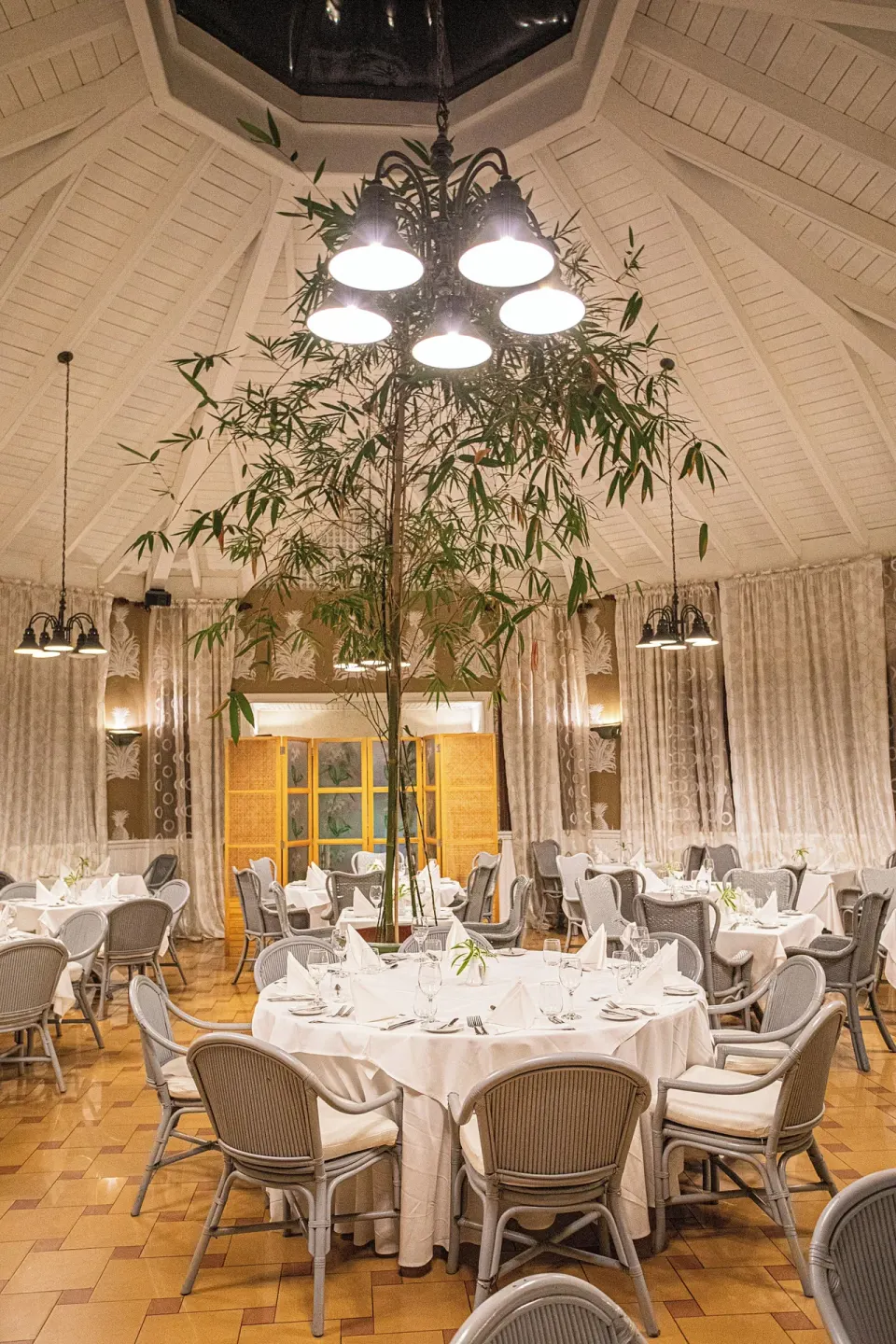 Formal dining room with round tables and a central bamboo plant at VH Gran Ventana Beach Resort.