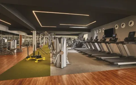 Rows of treadmills, weight machines, turf, and mirrored walls in the gym at Viceroy Los Cabos.