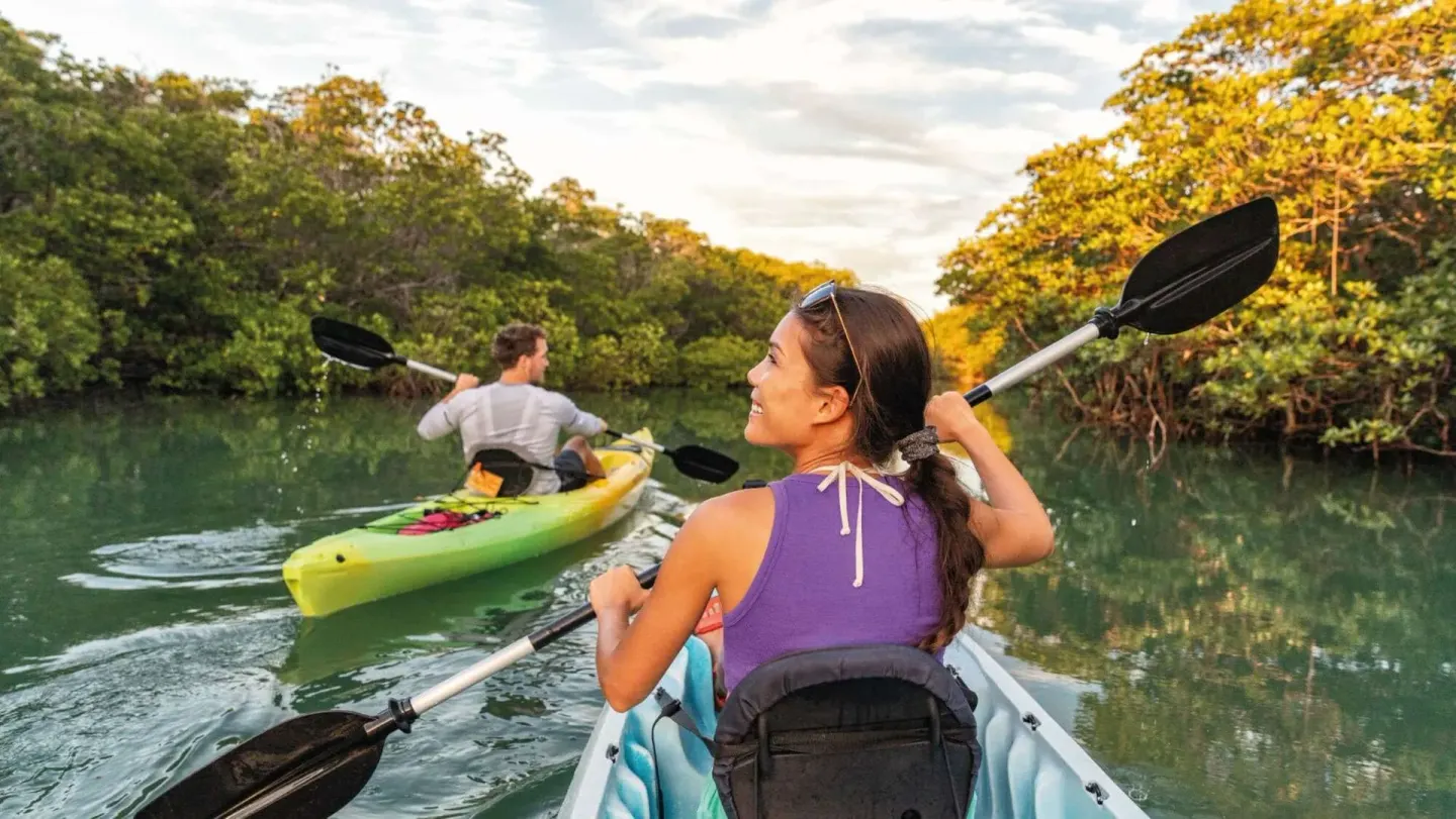 Guests kayaking on calm mangrove water near Viceroy Riviera Maya.
