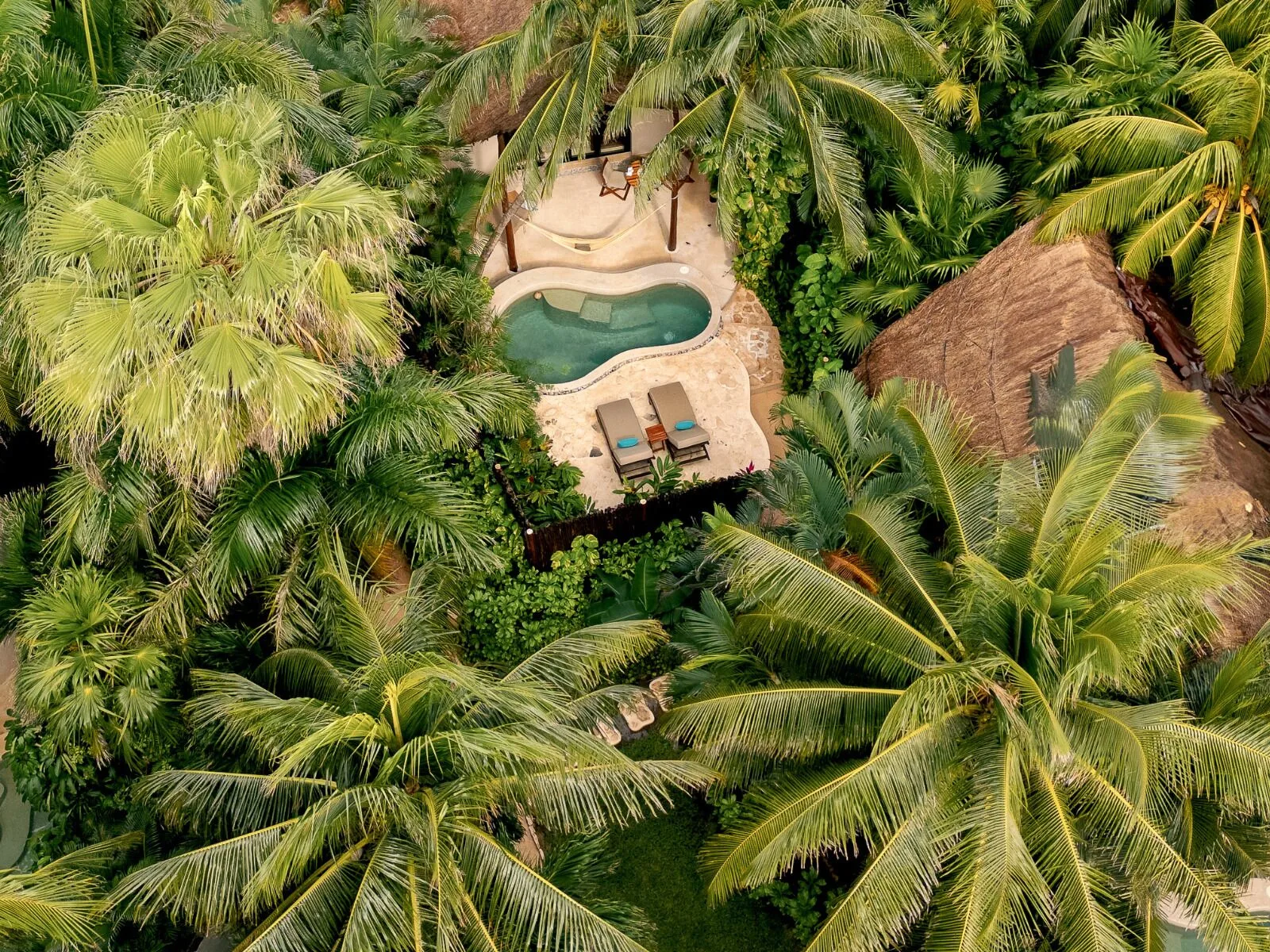 Aerial view of a private plunge pool surrounded by palms at Viceroy Riviera Maya.