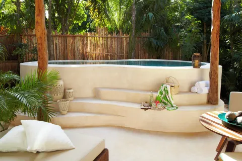 Premium Villa private plunge pool with steps and tropical greenery at Viceroy Riviera Maya.