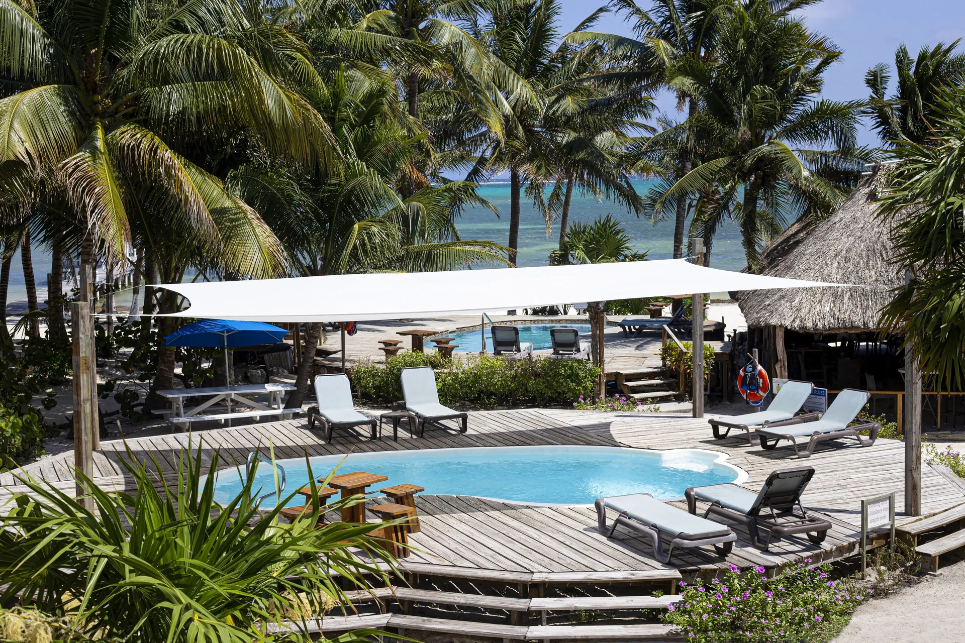 Caribbean Villas Hotel casual beachfront Belize hotel with gardens and San Pedro access